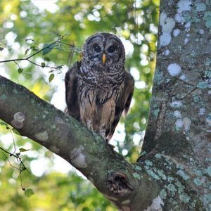 Meet your Posher, Katy